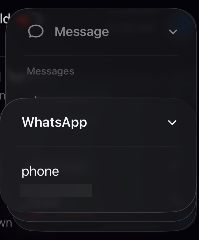 iOS nested menu: the WhatsApp sub-panel stacked over the dimmed Message panel behind it